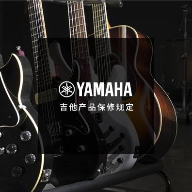 吉他、贝斯和音箱