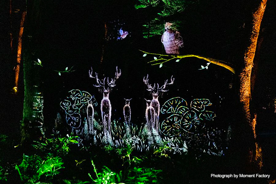 案例｜欧博为壮观的Kamuy Lumina魔法夜行旅游项目提供配乐设备