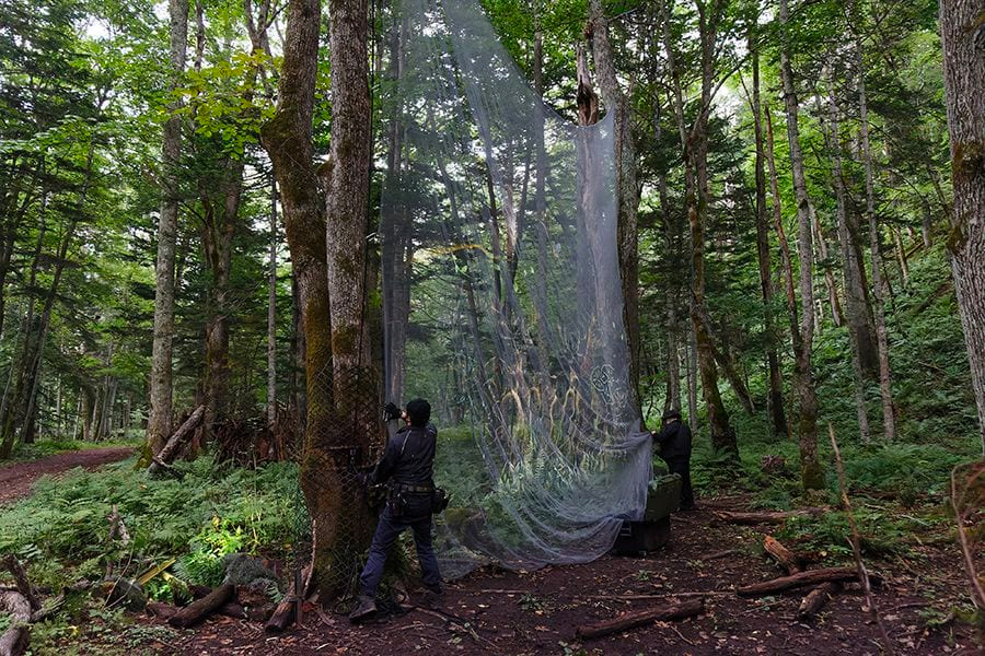 案例｜欧博为壮观的Kamuy Lumina魔法夜行旅游项目提供配乐设备
